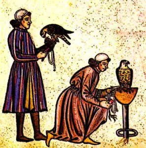 Medieval Sports Falconery