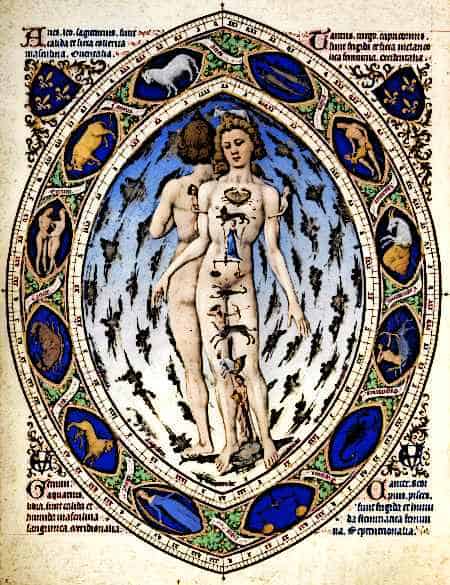 Medieval Diseases - Anatomy Book