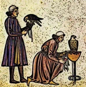 Medieval Falconery was a game or sport for nobles such as Barons