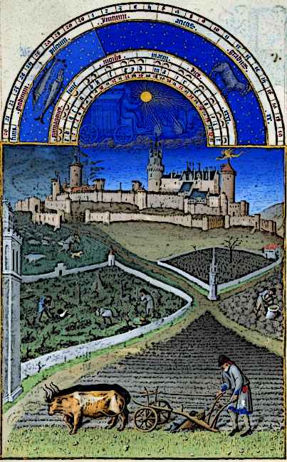 Medieval Field Ploughing and Crop Rotation