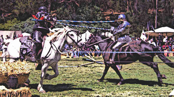 Medieval Fighting Games Jousting