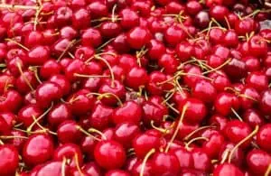 cherries g6666dade8 640