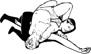 wrestling gae31275c1 640