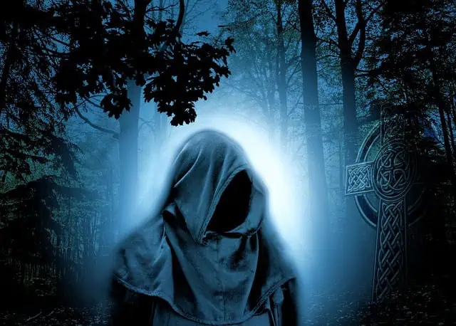 forest g64e186440 640 1